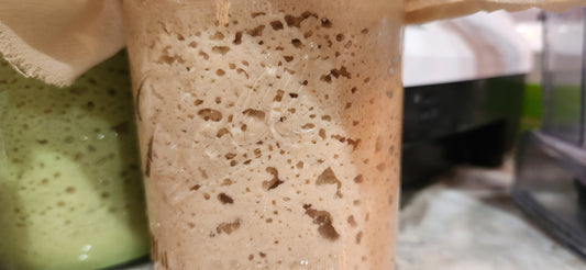Dehydrated Sourdough Starter Unbleached White "Pure & Simple"