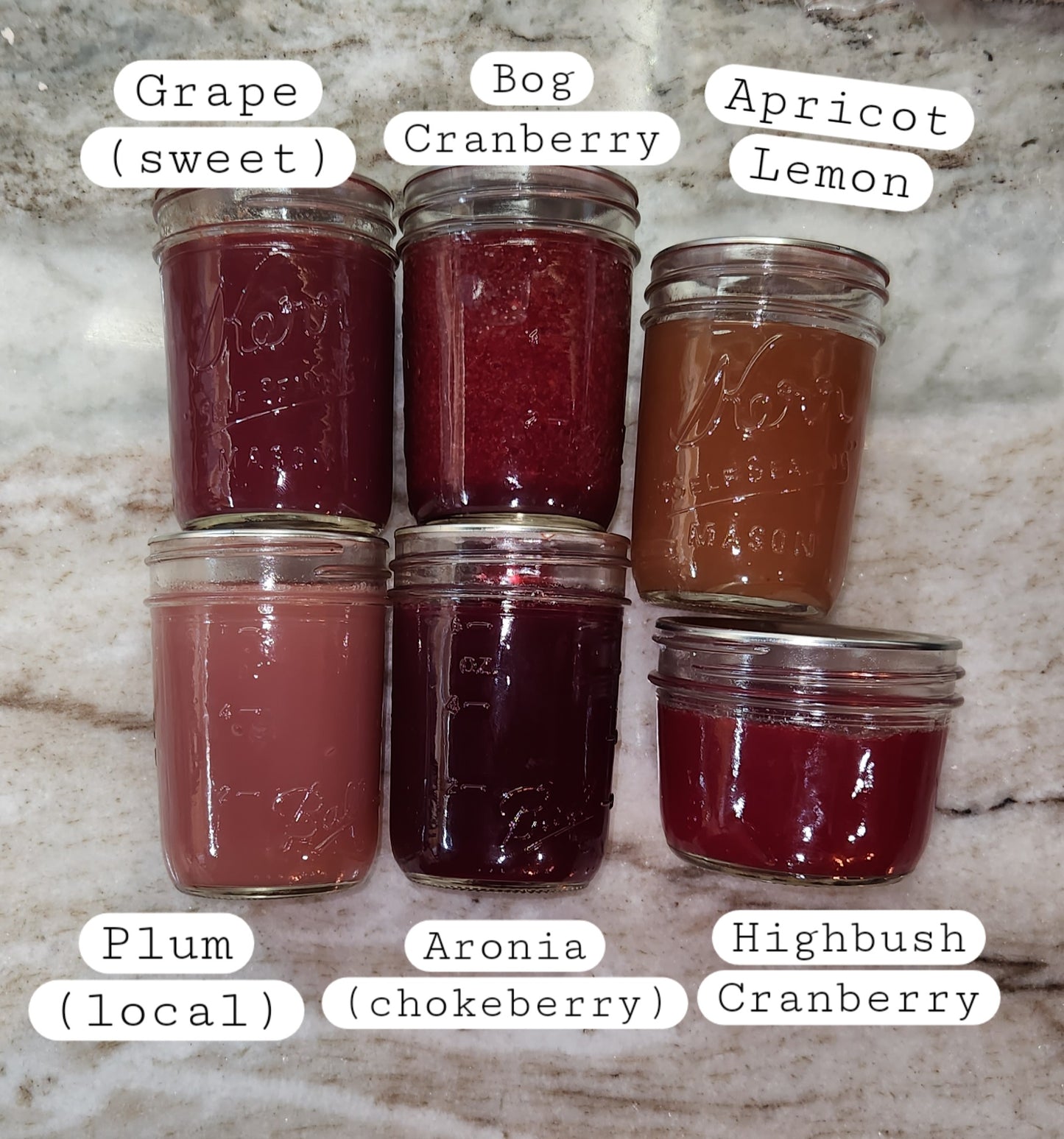 Local Highbush Cranberry & Honey Jam