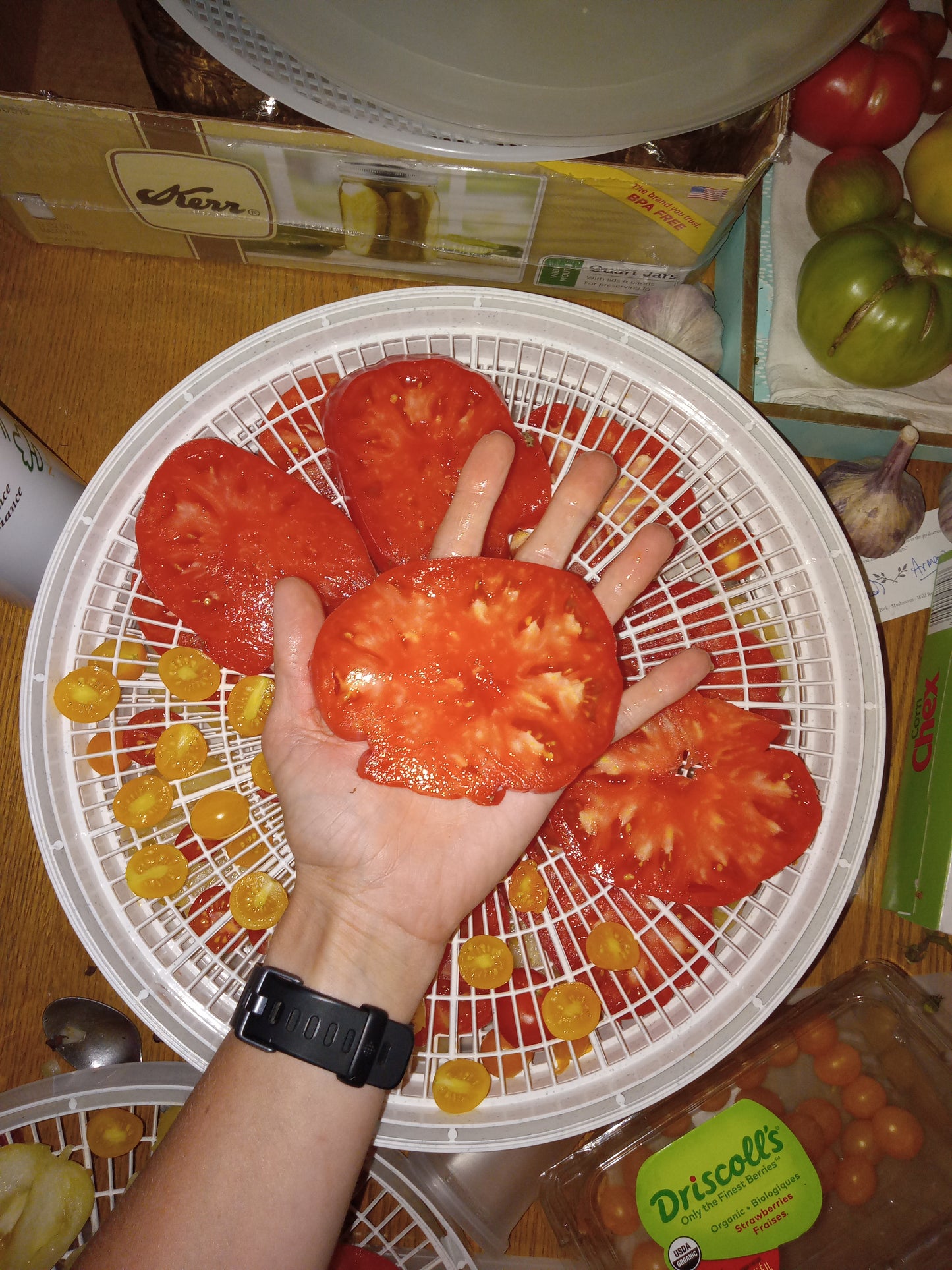 Large Red Slicing Tomatoes