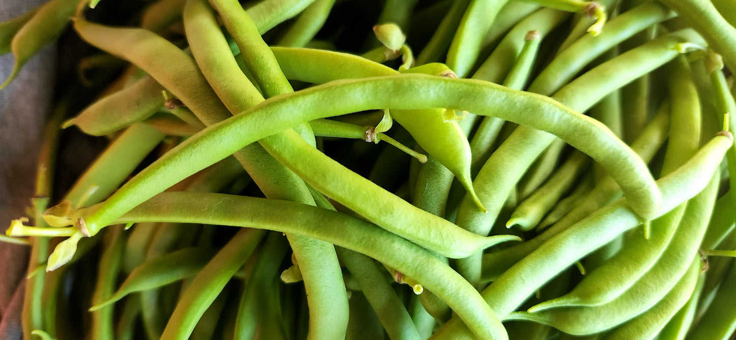 Fresh Green Beans