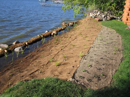 Shoreline, Wetland or Erosion Control Site Visit (Cass, Aitkin, Morrison & Todd Counties)