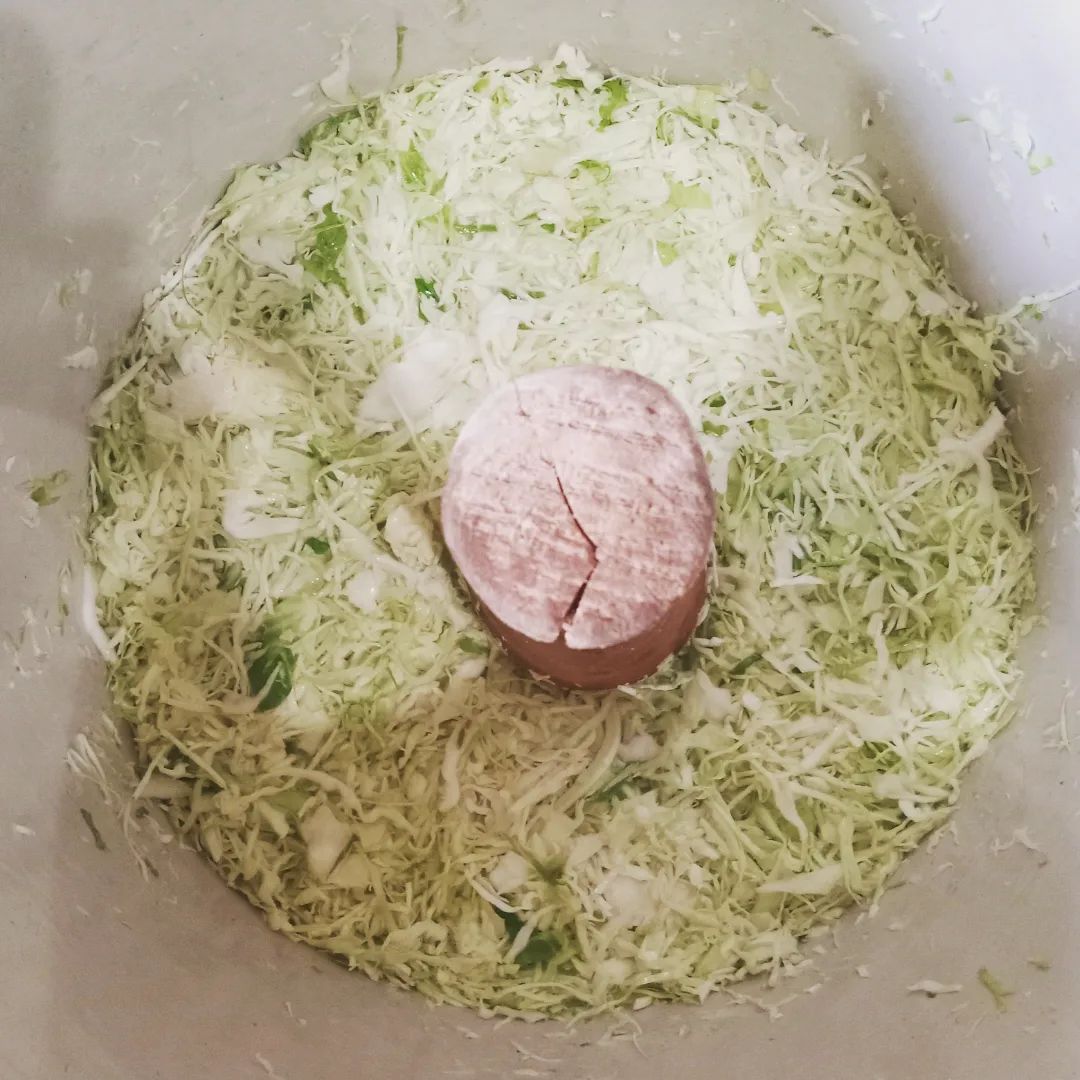 Traditional Cabbage Sauerkraut